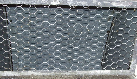 Anti-Bird Guard Anti-Bird Guard